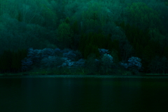 夕方を写す