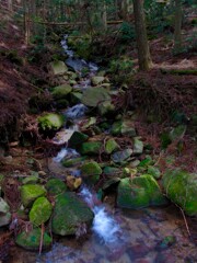 山奥の静寂の中、川の音だけが