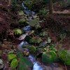 山奥の静寂の中、川の音だけが