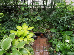 HANA0064