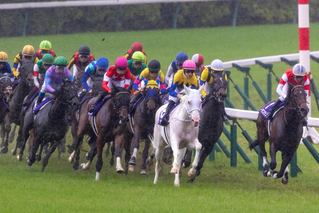 雨の東京競馬場　ヴィクトリアマイル２