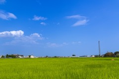 夏の空