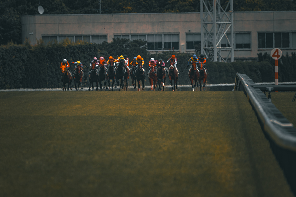 東京競馬場最終直線