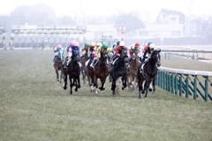 東京競馬場に雪が降る①