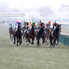 東京競馬場に雪が降る①