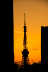 東京タワー色の空