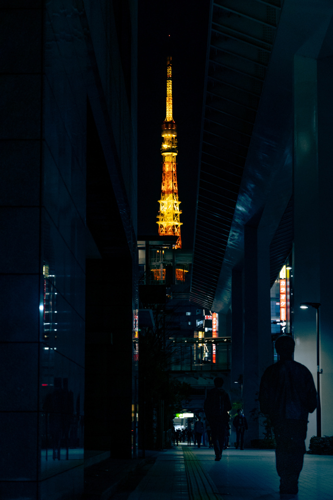 狭い空、東京タワー