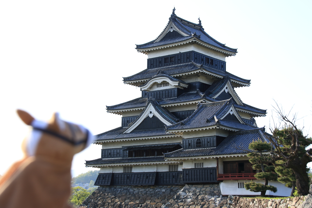 松本城