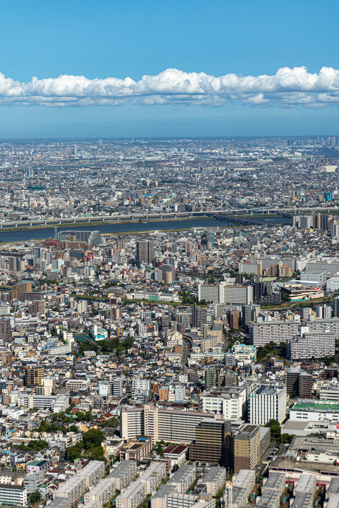 東京の空