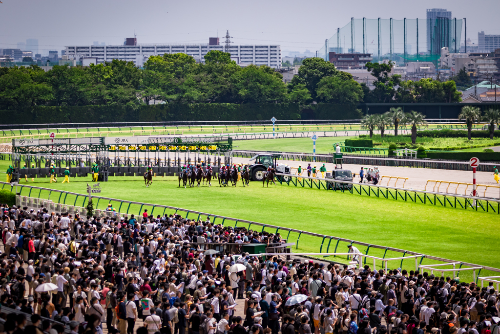 競馬観戦
