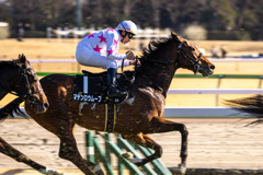 マテンロウムーヴと横山典弘騎手