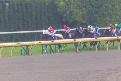 雨の東京競馬場　ヴィクトリアマイル１