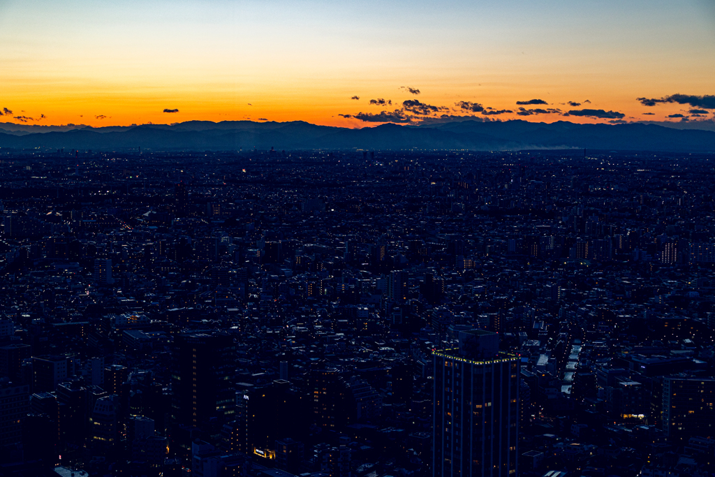 東京都庁からの展望