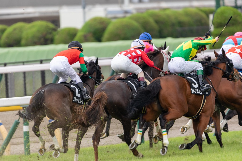 雨の東京競馬場　テレ玉杯２