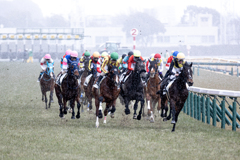 東京競馬場に雪が降る②
