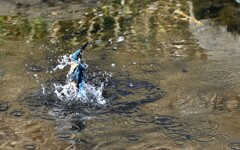 残念ながら失敗の連続