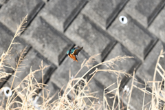 今日も機嫌よく