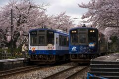 瞬間の切り取り