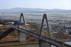 日常の切り取り