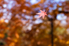 瞬間の切り取り