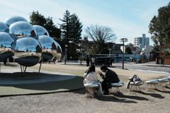 日常の切り取り