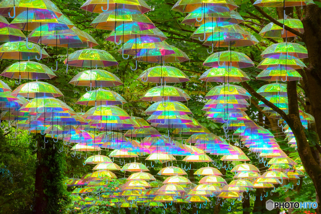 梅雨もあり