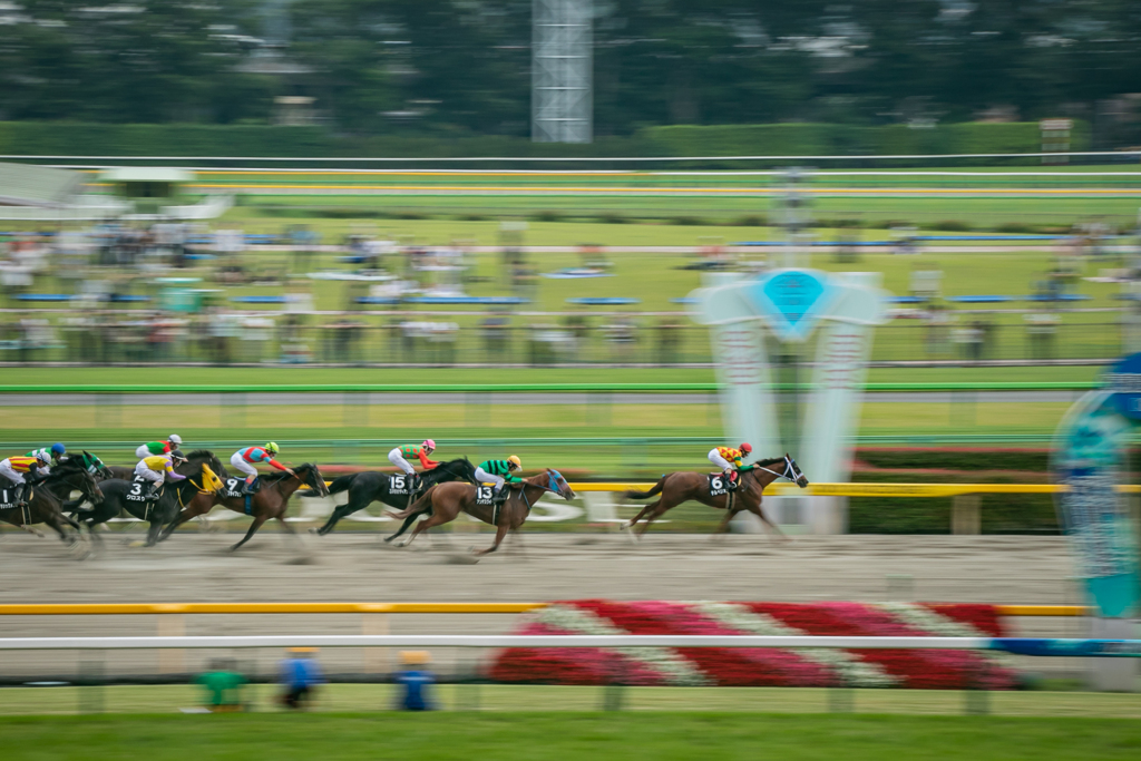 東京競馬場
