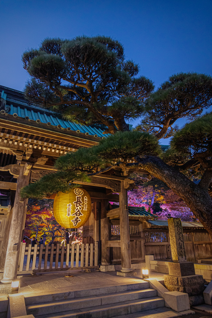 長谷寺