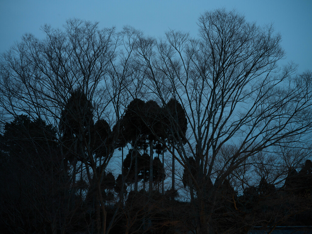 京都逢魔時散策3