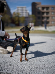 太陽がまぶしい