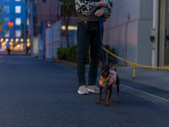 夕方の靱公園散歩３