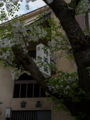 中崎町スナップ2023/03/25 その1