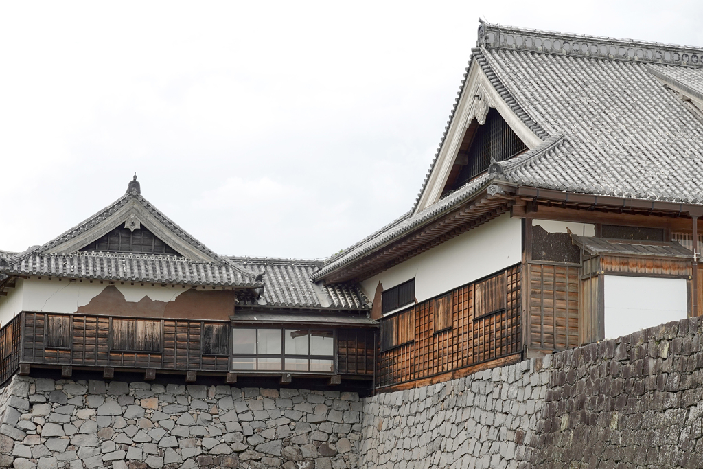 熊本城　２０２４・6