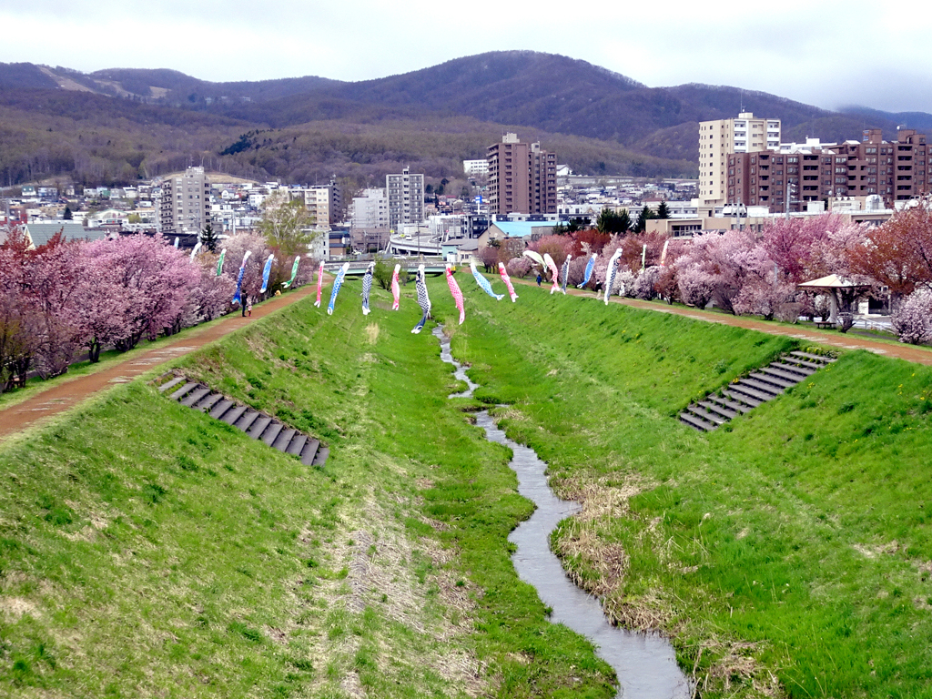 桜の季節