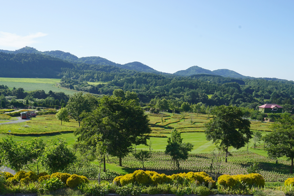 北海道風景２