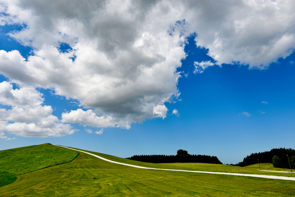 夏の雲