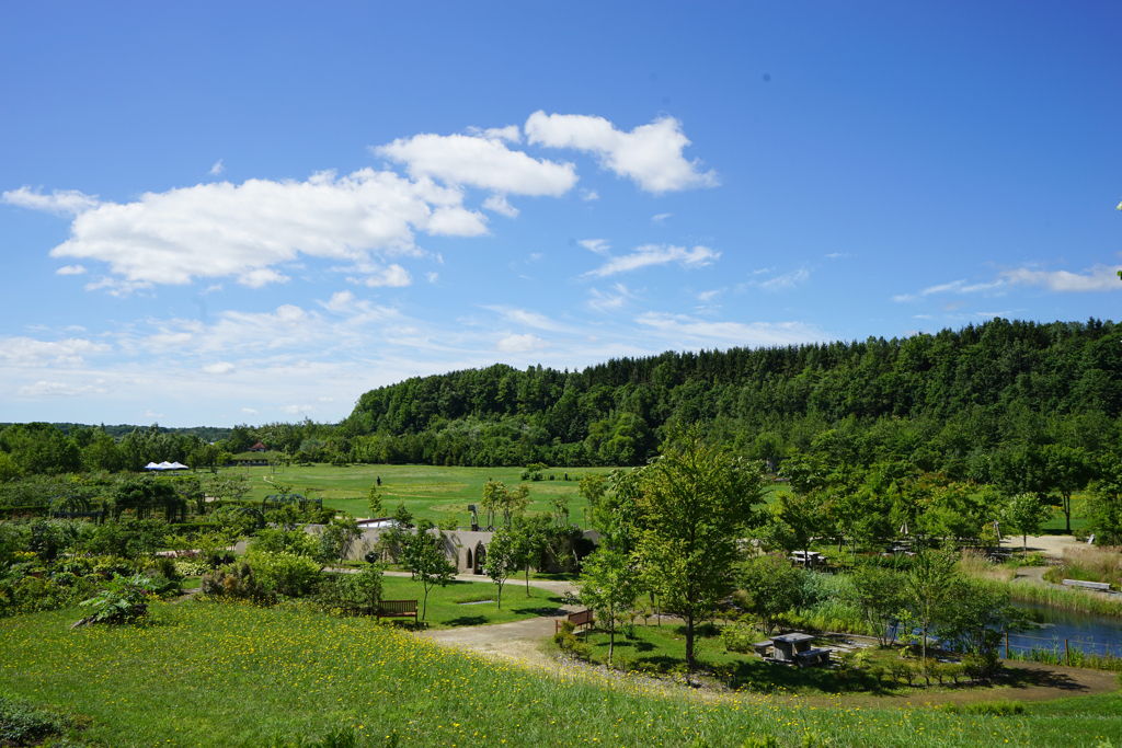 北海道風景１