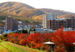 秋も終わり・・・