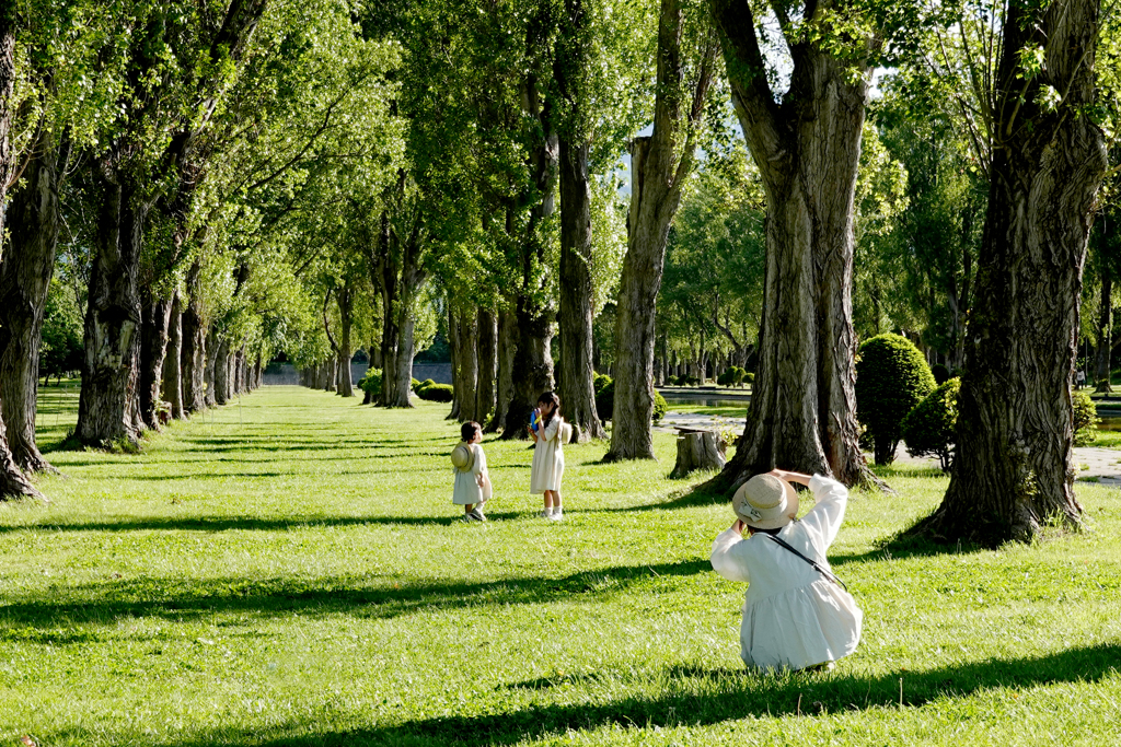 森林公園の情景