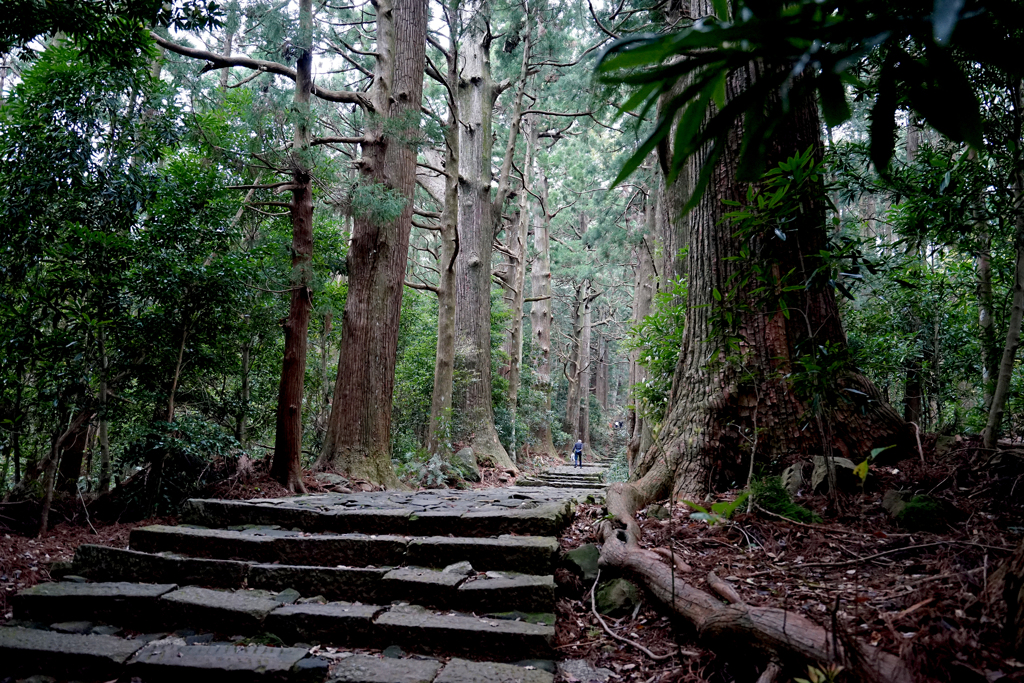 熊野古道１