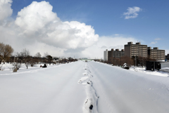 北海道3月