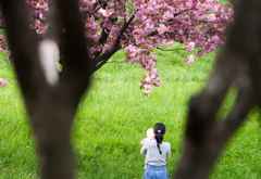 子に桜を見せる母親