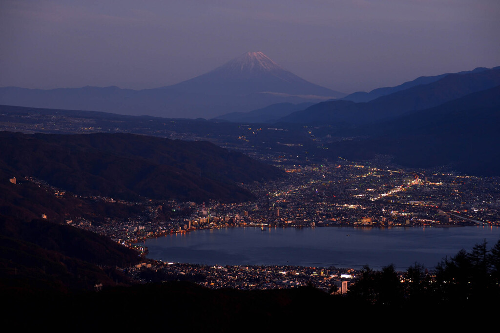 今年は行けなかった・・