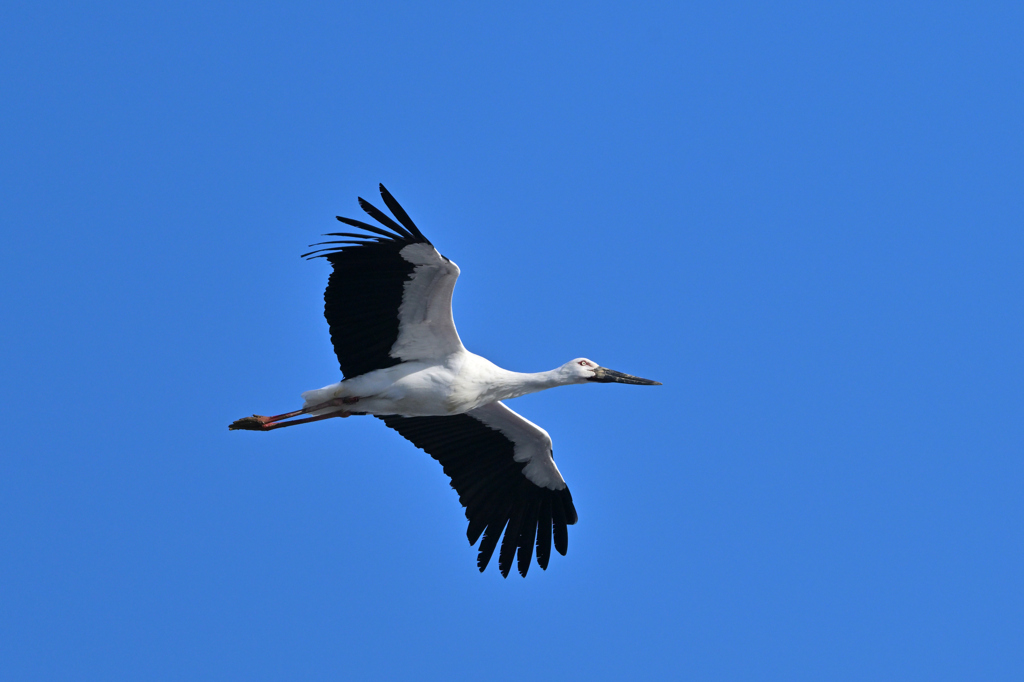 雪国にて・・・
