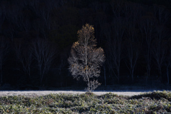 舞台挨拶 舞台挨拶