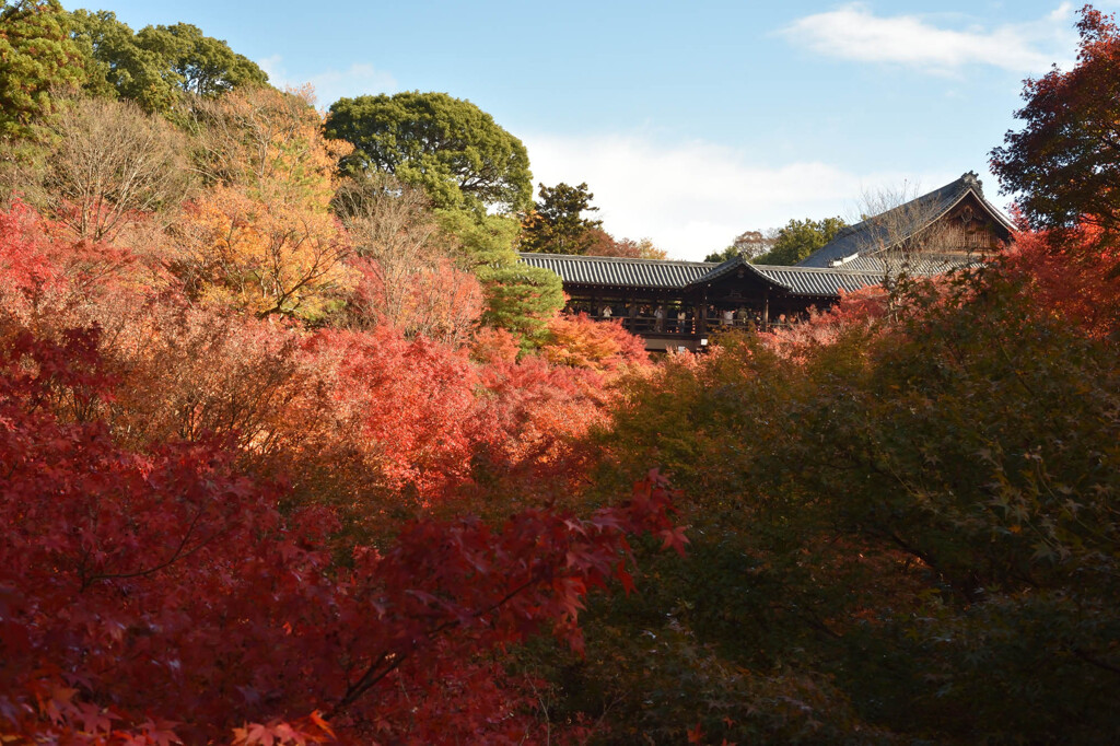 東福寺の通天橋