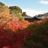 東福寺の通天橋