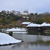 冬の彦根城
