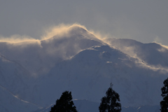 風花（ふうか）