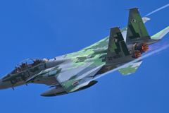 アグレッサー